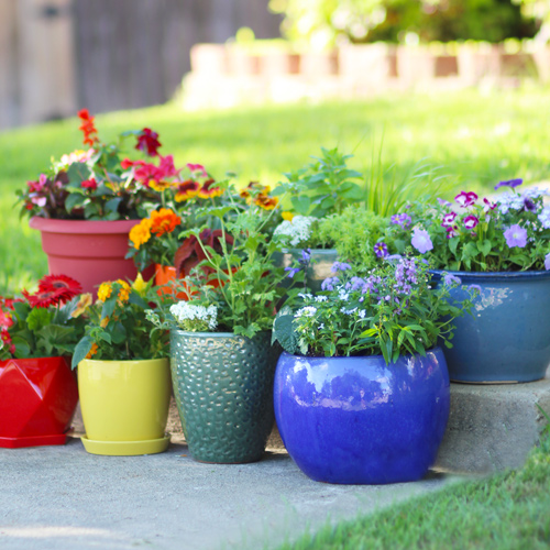 container garden display