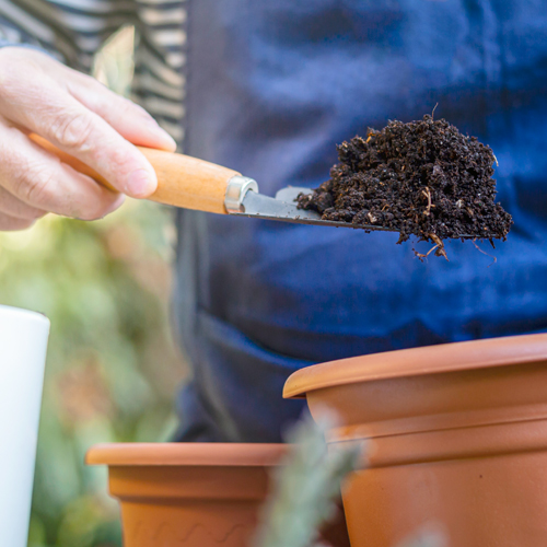 add potting soil