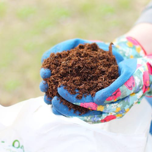 hands holding soil