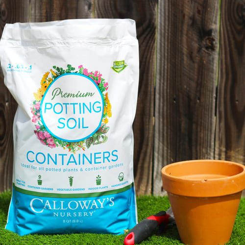 calloways potting soil