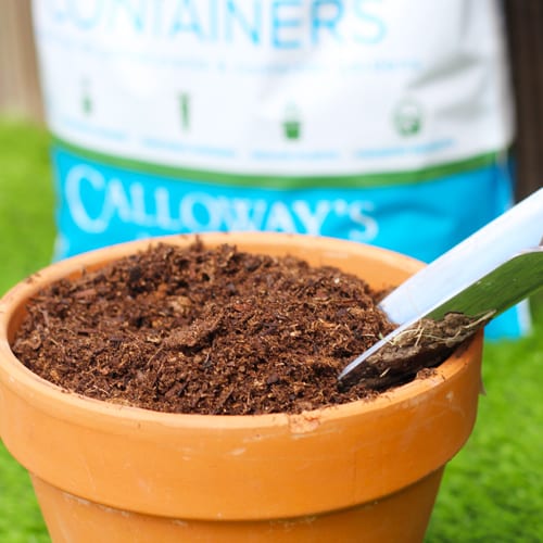 calloways potting soil