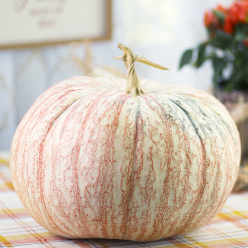 decorative pumpkin