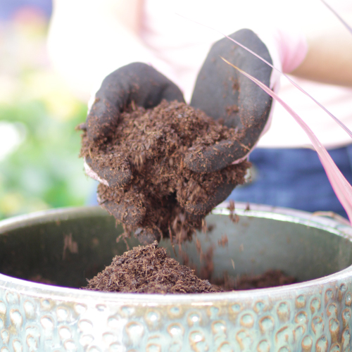 calloway's potting soil