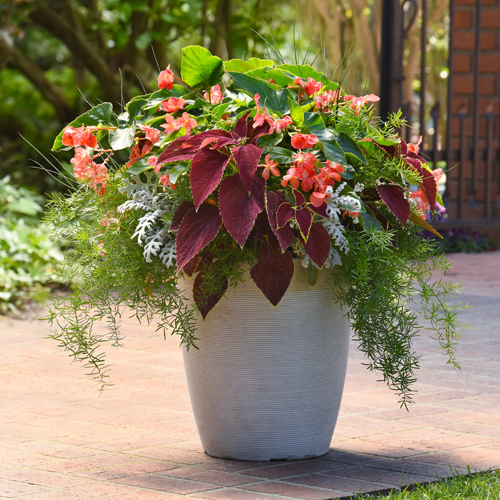 spring container garden inspiration