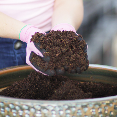 potting soil