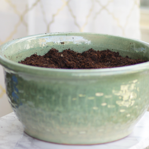 potting soil