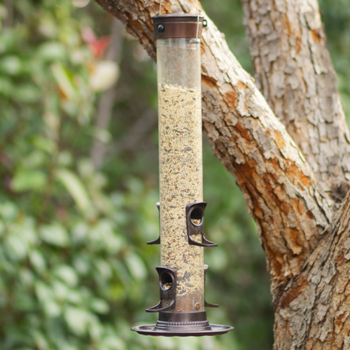 bird feeder