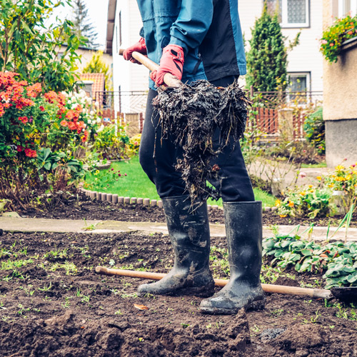 planting spring flowering shrubs