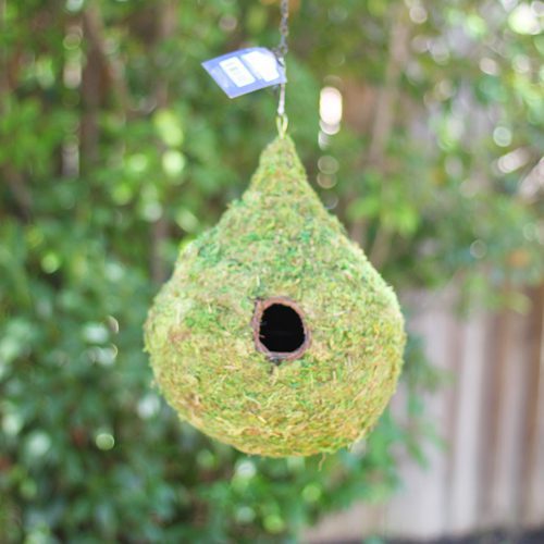 Natural Bird House to Support Wild Birds at Home | Calloway's Nursery