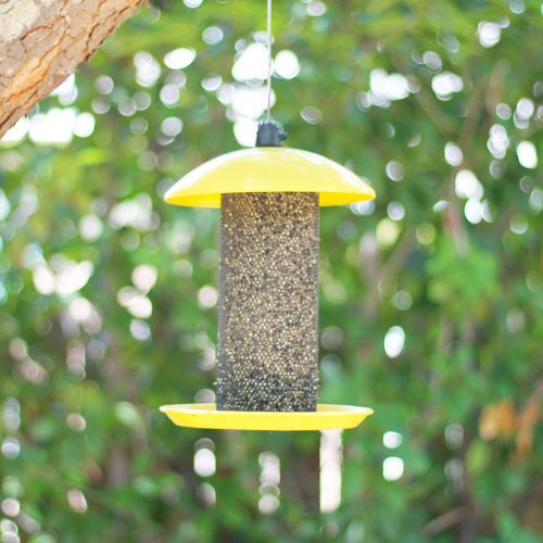 Perky-Pet® Yellow Finch Tube Feeder | Calloway's Nursery