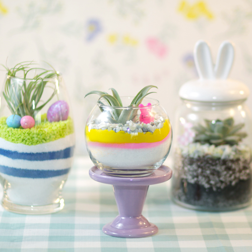 Easter egg terrarium