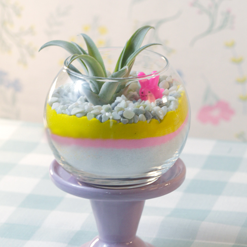 Easter Cheer in a Terrarium with air plants