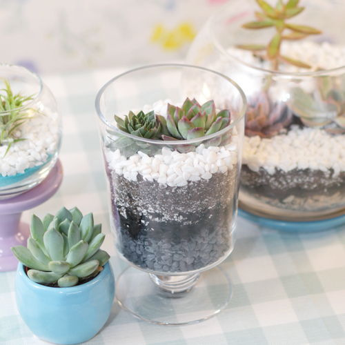 spring-themed terrariums