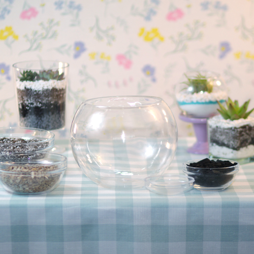 build a terrarium