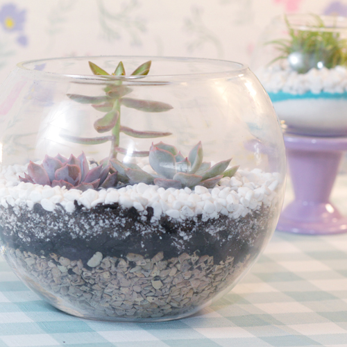 Decorating your terrarium