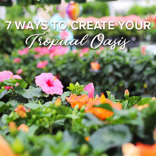 7 ways to create your oasis