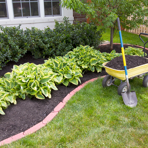 mulching to improve soil moisture retention