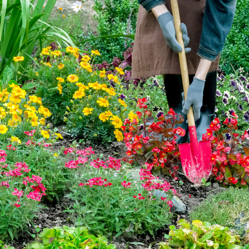 water wise gardens