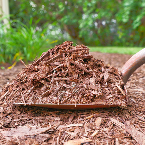 best mulch to retain water