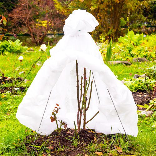 Plant Frost Protection Cloth for Winter Garden | Calloway's Nursery