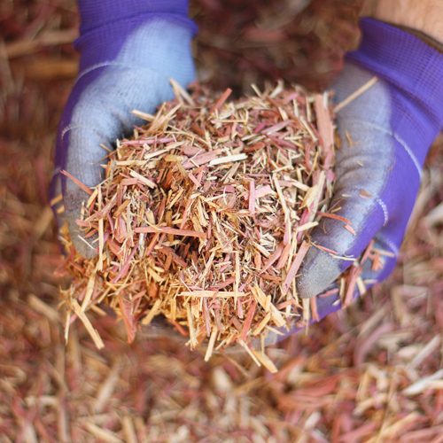 Calloway’s Premium Organic Mulch for Winter Garden Flowerbeds | Calloway's Nursery