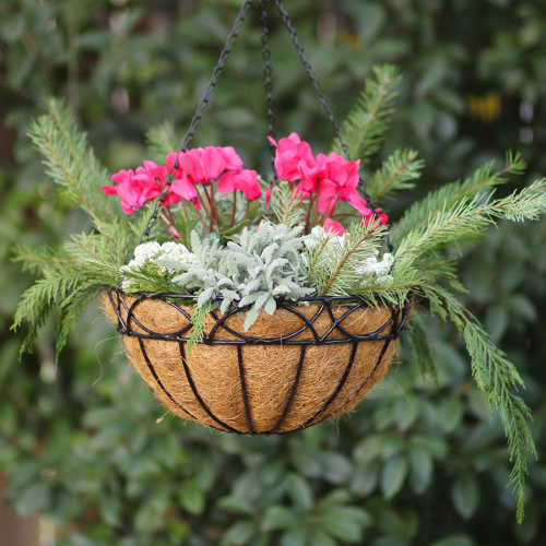 hanging baskets with cedar bunches