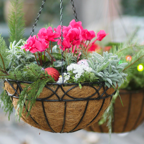 holiday hanging baskets