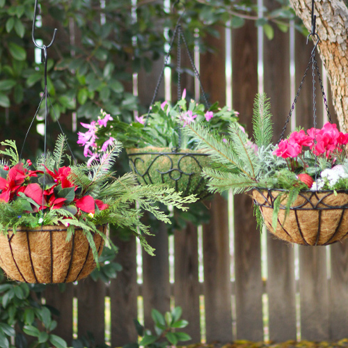 how to make holiday hanging baskets