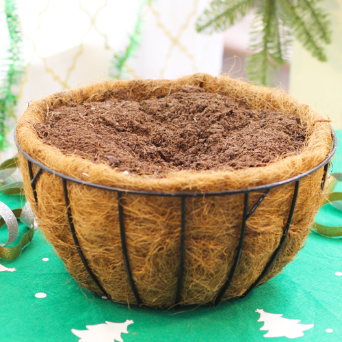 potting soil