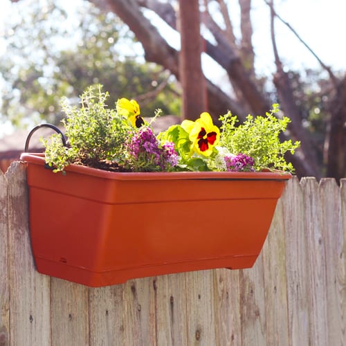 Container Gardening 101: Cool Window Boxes - Calloway's Nursery