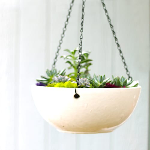 hanging basket ideas