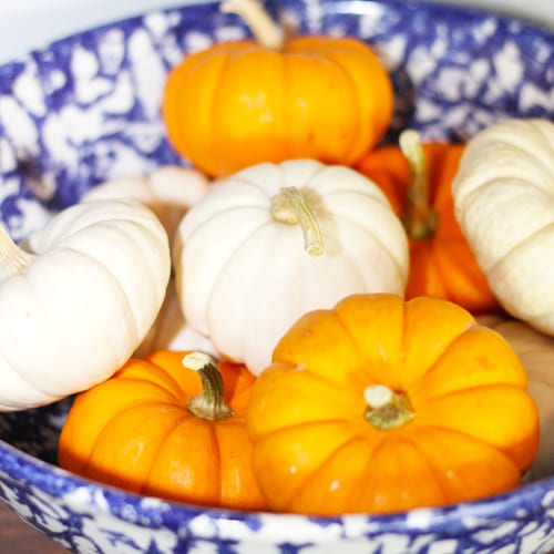 mini white pumpkin mix in bowl