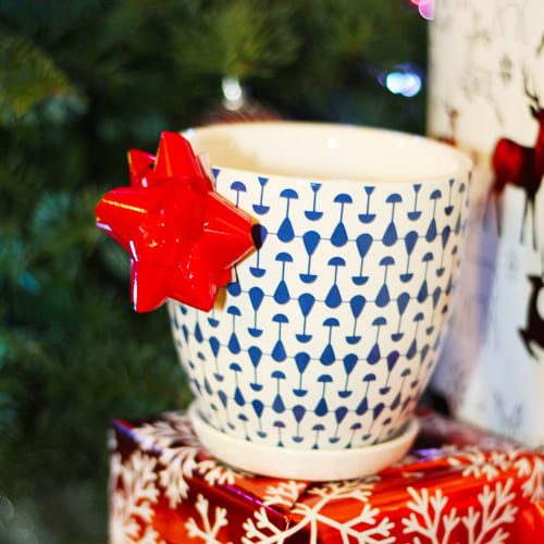 white pottery with blue design