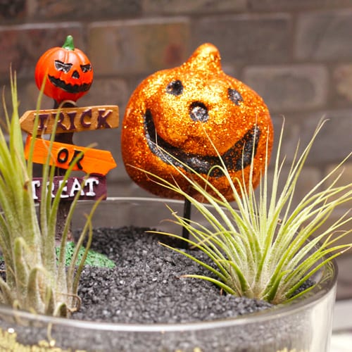 halloween decorating ideas