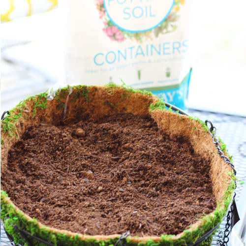 potting soil in hanging basket