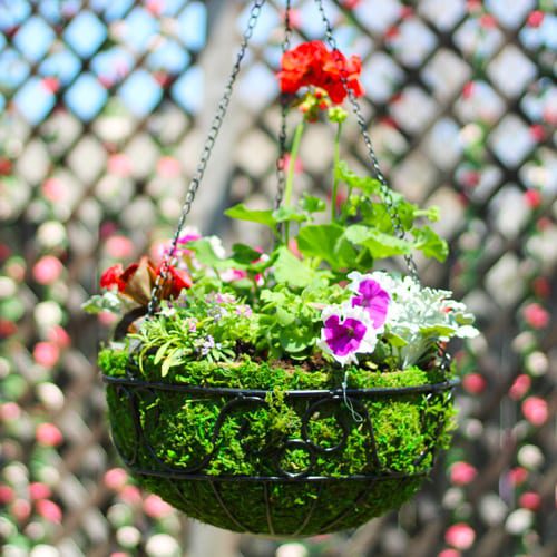 make your own hanging basket