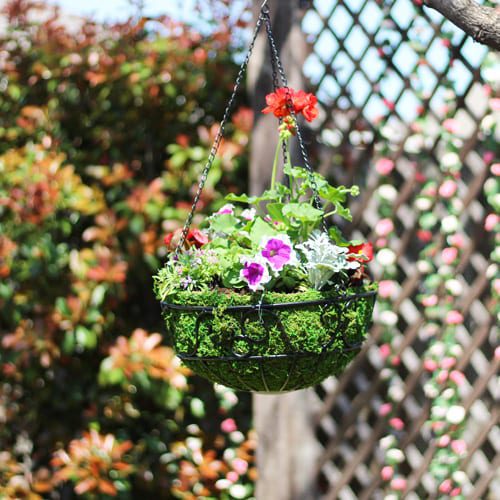 how to make your own hanging basket