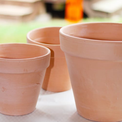 terra cotta pottery