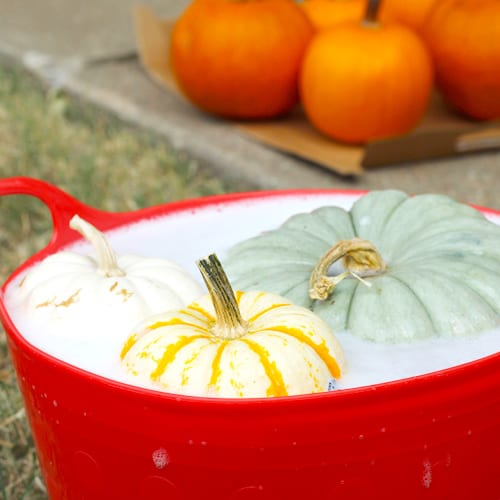 pumpkin display ideas