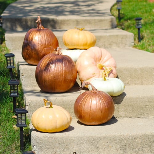 Copper Pumpkins on Stairs for Fall Pumpkin Decoration | Calloway’s Nursery 