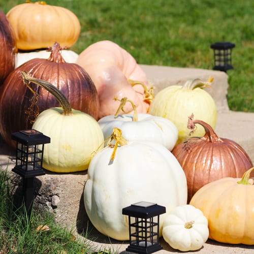 Pumpkins on Stairs for Fall Pumpkin Decoration | Calloway’s Nursery 