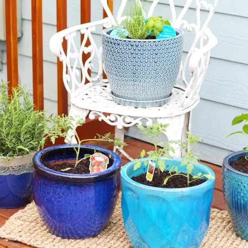 container gardening