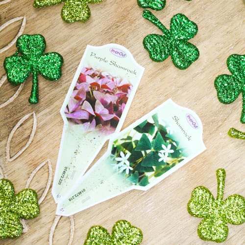 plant tags