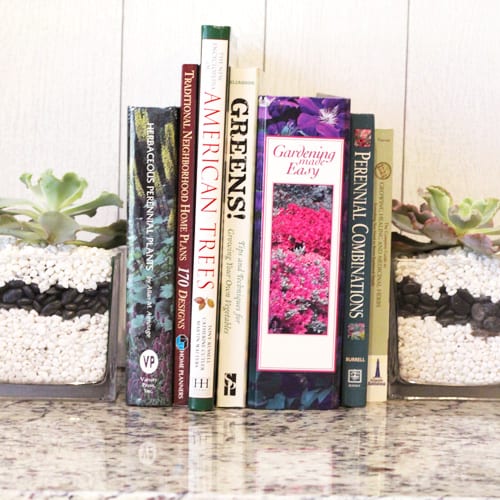 succulent bookends