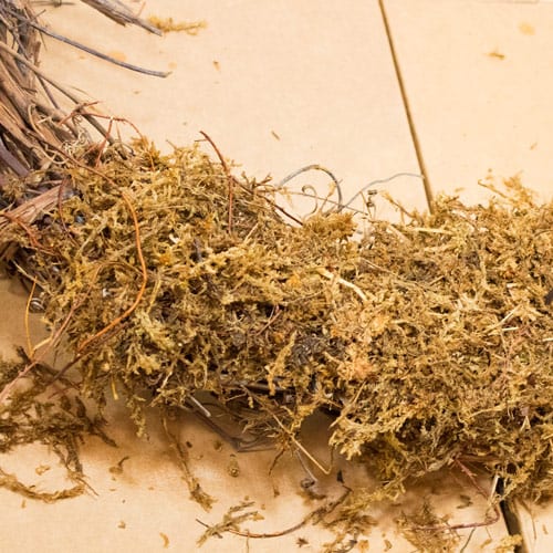 long fiber sphagnum moss