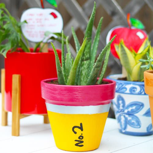 Back-To-School Gift Ideas for Teachers | Calloway's Nursery