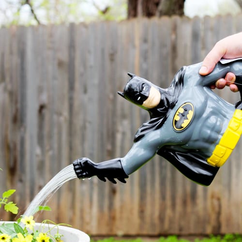 batman watering can