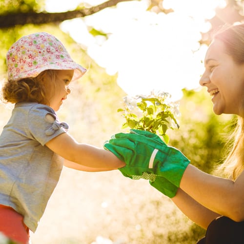 family planting