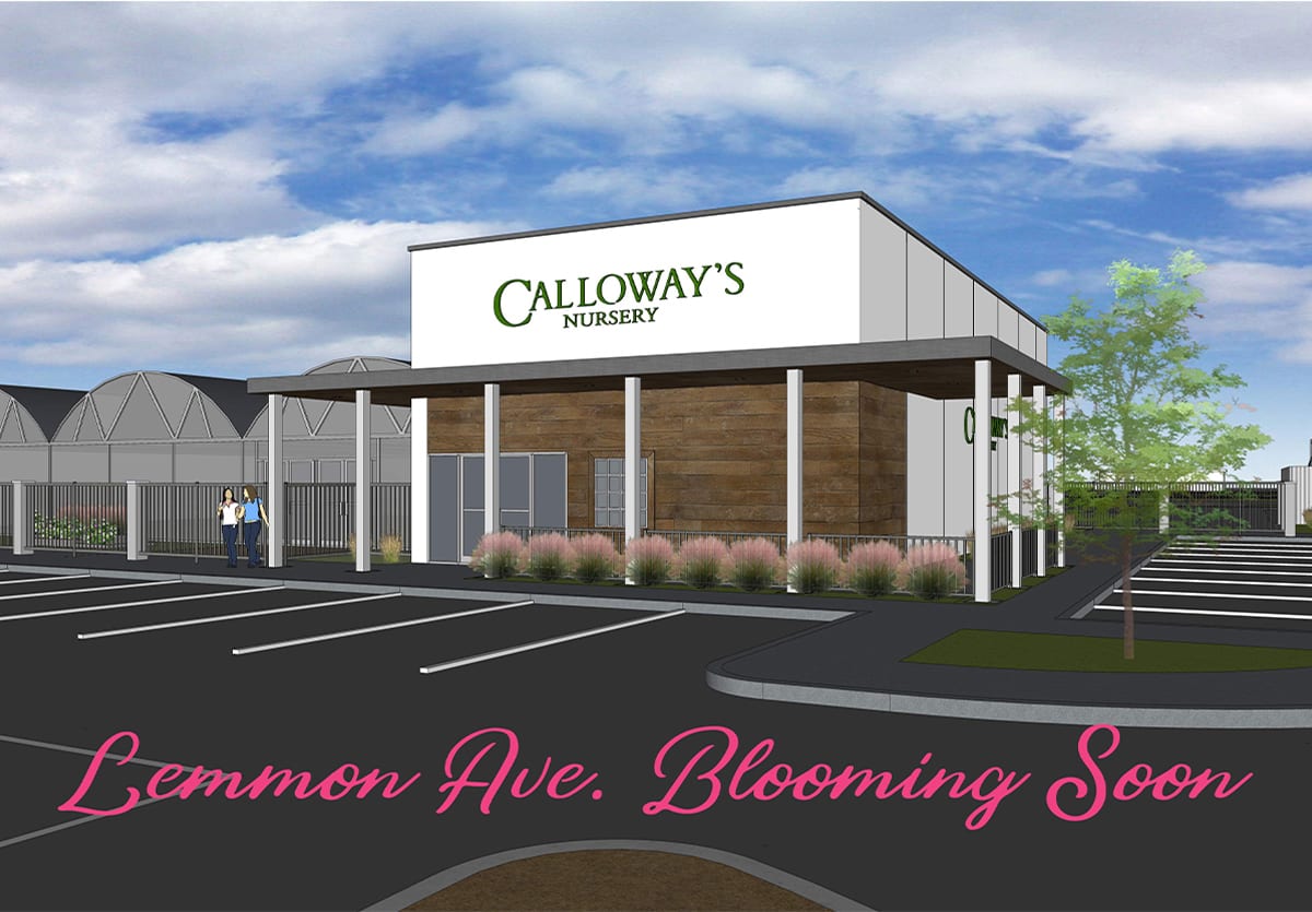 Calloway�s Nursery Dallas TX Plant &amp; Garden Center