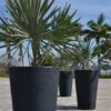 Linea Conic Planter